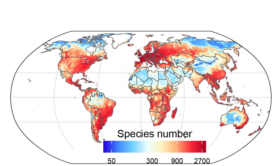 SSP1 Species Richness Map